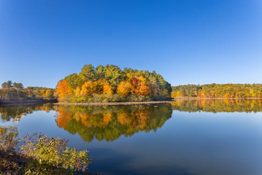 a peaceful nature scene with a serene lake