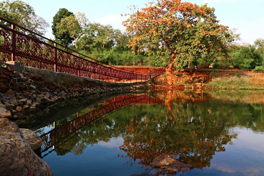 image of a calm park for reflection