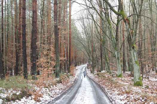 calm nature scene for introverts