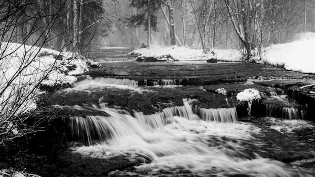 serene nature scene