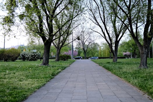 a peaceful garden space