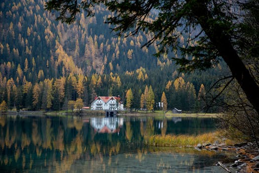 serene nature scene for reflection