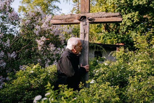 peaceful garden scene